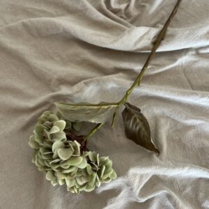 flores 1