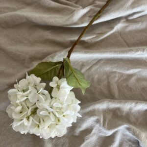 flores 1