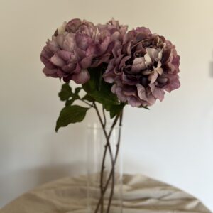 flores 1
